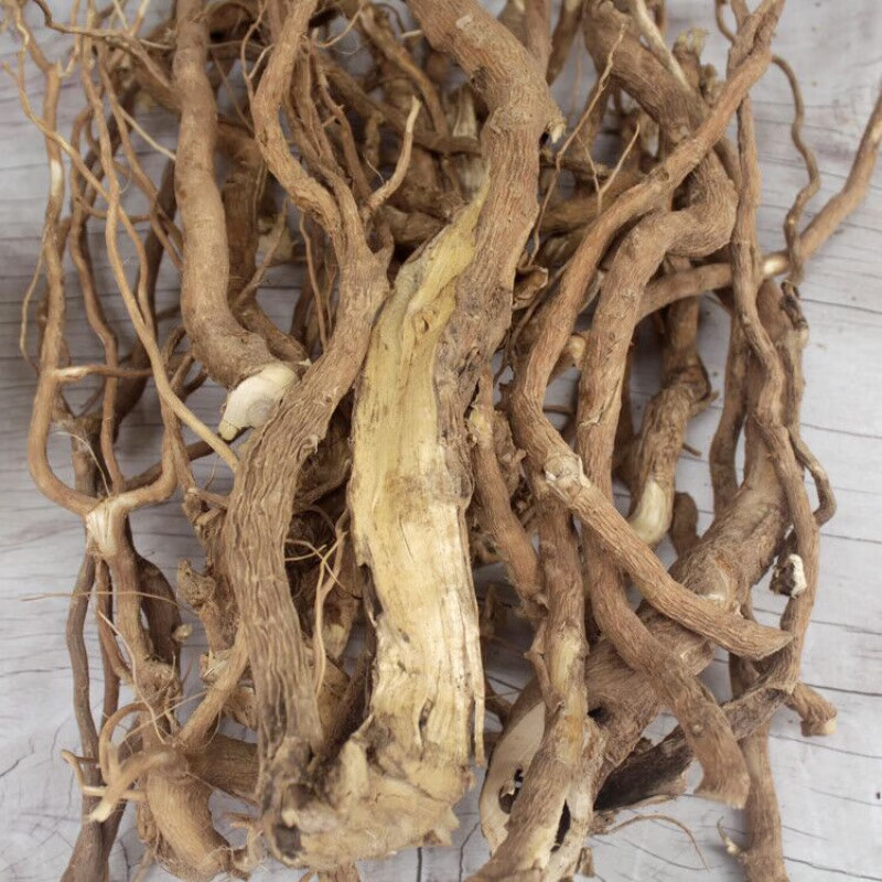 黄花康中尊倒水观音参根倒吊黄根远志药食同源