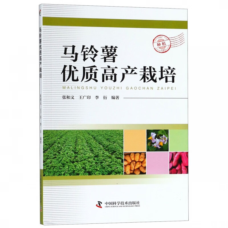 马铃薯优质高产栽培