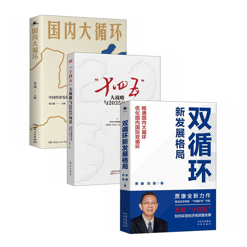解读十四五规划（全3册）：国内经济大循环与双循环+经济发展新战略与政策选择+大战略与2035远景