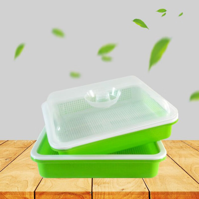 润华年保湿水培器皿秧苗水培豌豆苗芽菜菜苗育苗盘 送1个带盖加深盘子