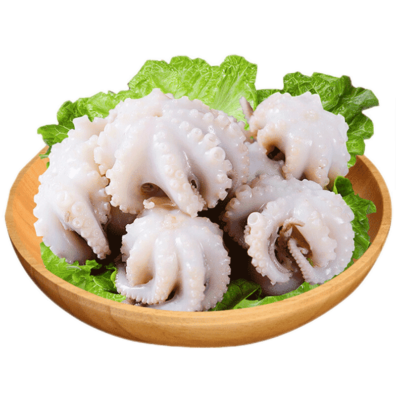 软足类商品价格走势&销量趋势分析|软足类历史价格网站