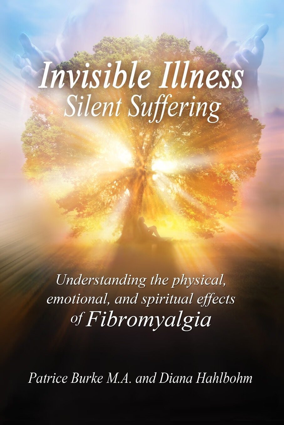 【预售 按需印刷】invisible illness silent suffering