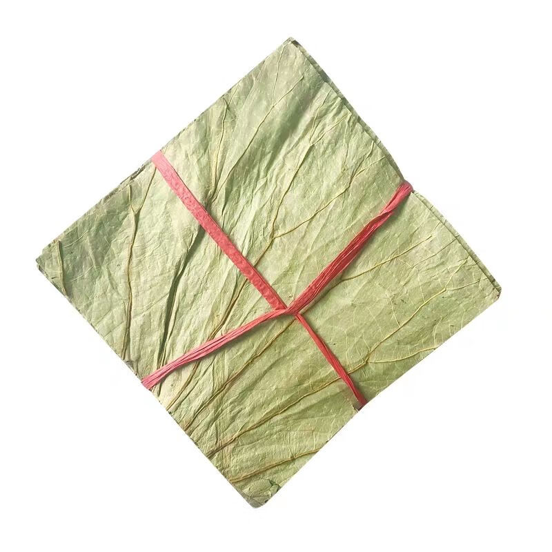 微山湖新鲜整张干荷叶切片可以定制藕叶木桶饭荷叶饭笼仔饭 18乘23五