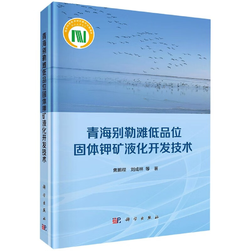 青海别勒滩低品位固体钾矿液化开发技术(精)
