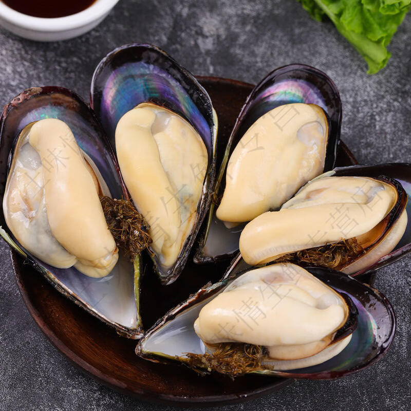 嫩个当天现捞海捕大青口贝海虹新鲜海贝海鲜水产贝壳烧烤 5斤