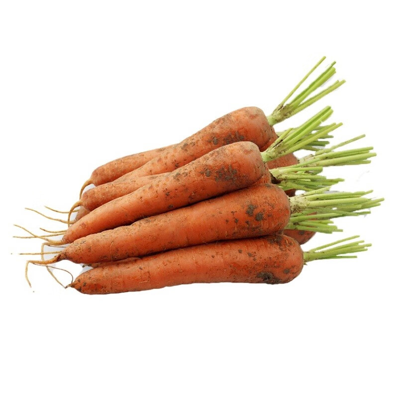 山东胡萝卜2斤装(净重)单果100g起 新鲜生吃蔬菜脆甜红心萝卜 鲜蔬一