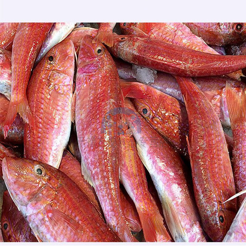 有仁堂潮汕鱼饭 潮州特产 红鱼鱼饭 海鲜即食 鱼饭 500克 广东顺丰