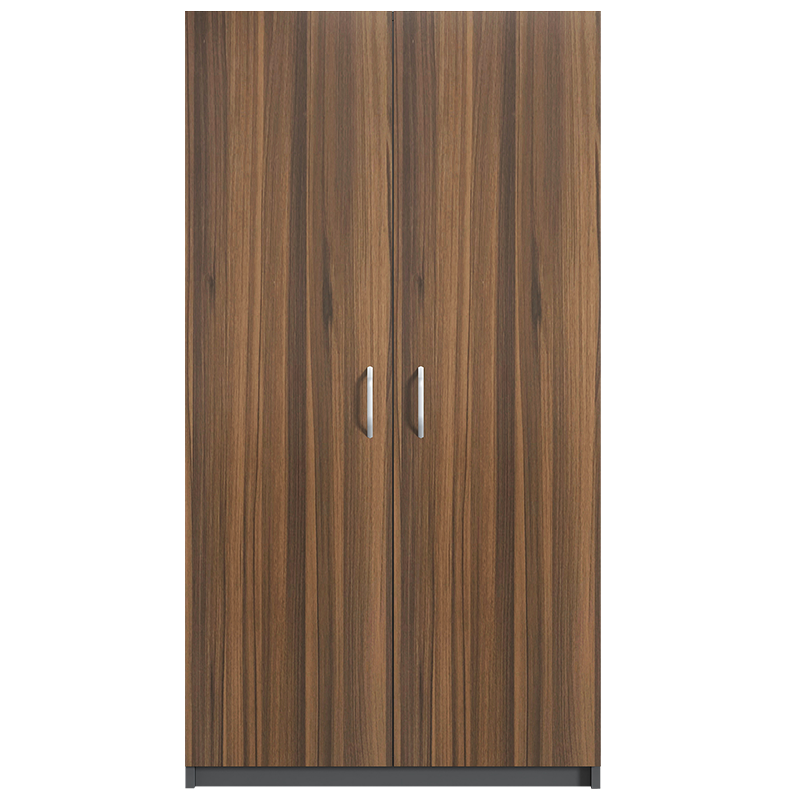 卡奈登简易木质两门储物柜衣橱简约现代柜WJG084