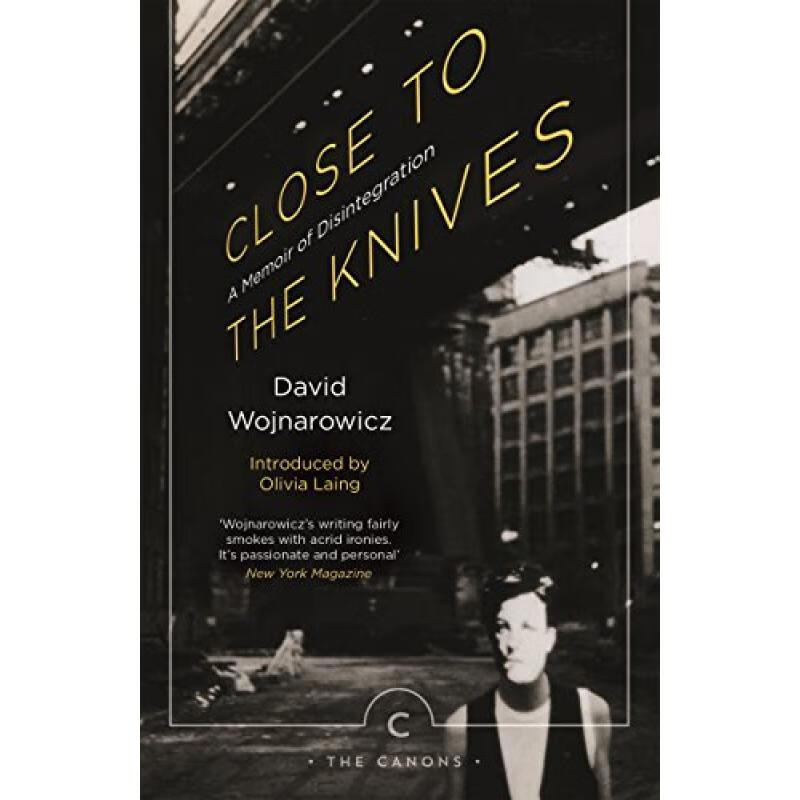 Close to the Knives: A Memoir of Disintegration kindle格式下载