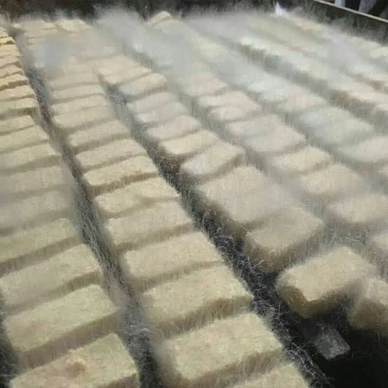 顺丰发货黄山徽州毛豆腐 多规格 生品安徽特产霉豆腐徽菜食材居家烹饪