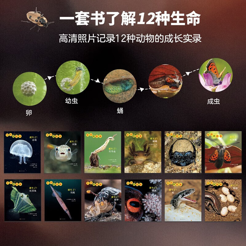 【无穷小亮推荐】生命的故事 赠音频 高清实拍昆虫动物科普百科全书12345辑+番外篇 赠音频 纸上纪录片自然科普儿童绘本 幼儿园动物世界3-6-8-10岁 人民日报推荐官方正版省钱卡图书卡 生命的故事