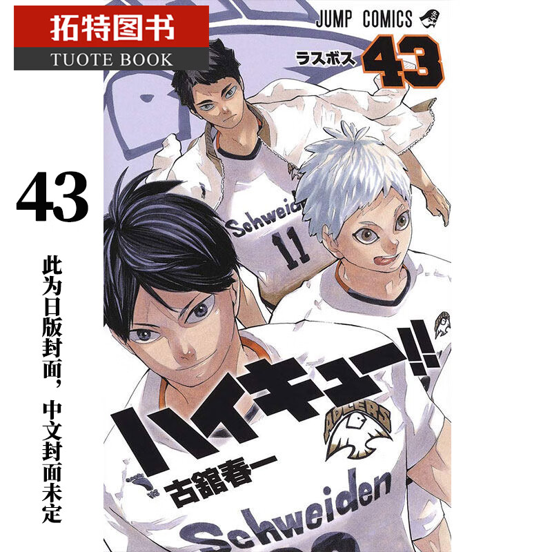 现货 台版漫画书 古馆春一排球少年 43东立