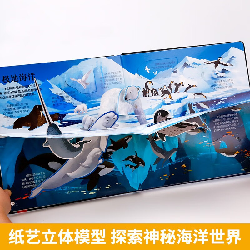 揭秘海洋立体书3d揭秘系列儿童翻翻书0-3岁以上绘本故事书海底世界科普百科全书宝宝启蒙认知3d折详情图