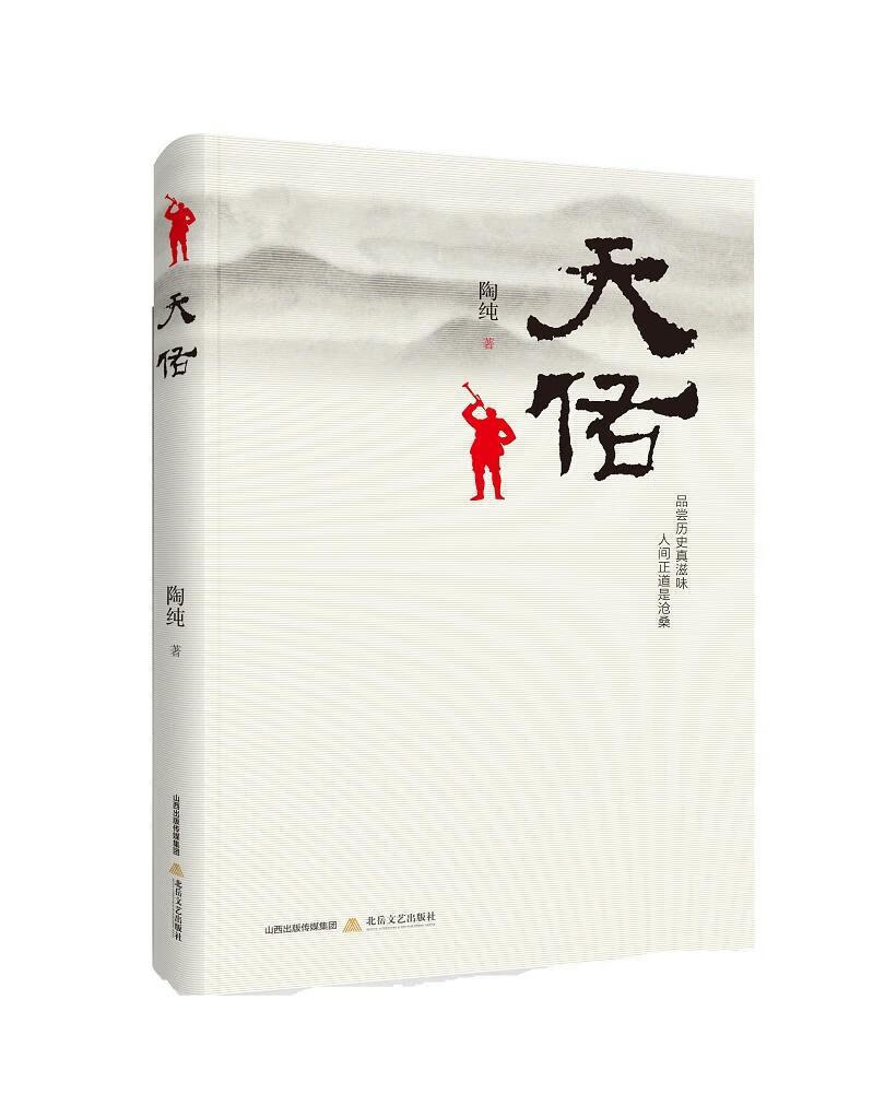 天佑 陶纯 北岳文艺出版社 小说 书籍