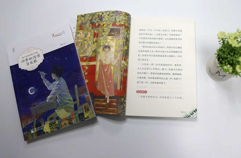 大作家的文学小课：梅子涵的阅读写作课（套装全2册）（神秘岛）详情图