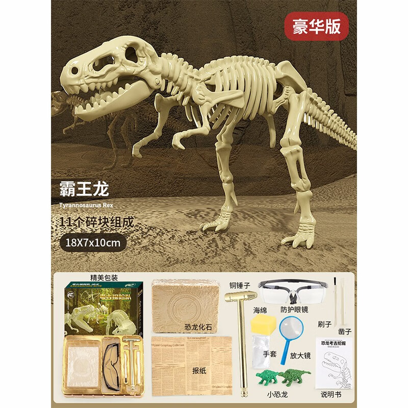 贝诺尼创意恐龙化石儿童手工考古挖掘玩具男孩女孩敲挖宝石蛋寻宝藏子