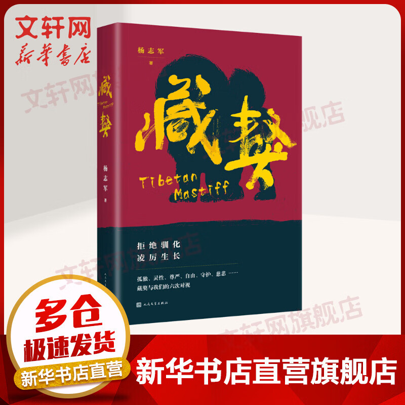 藏獒