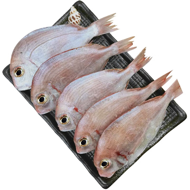 叁时鲜 赤鯮鱼2斤 东山岛新鲜赤棕鱼 2斤