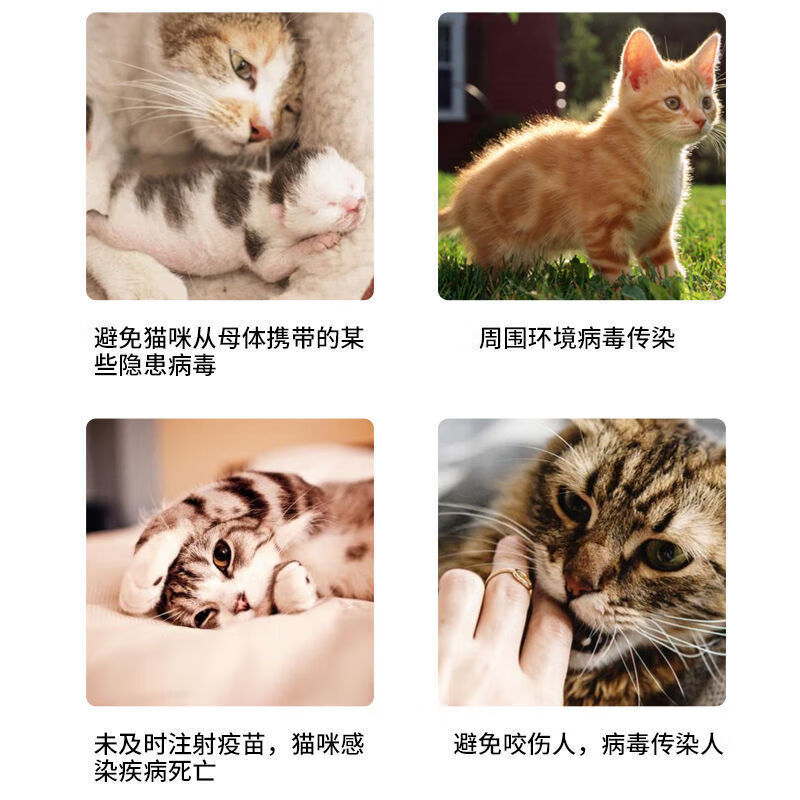 【顺丰冷运】荷兰英特威猫三联3联妙三多猫疫苗小猫幼猫3针加1狂犬猫