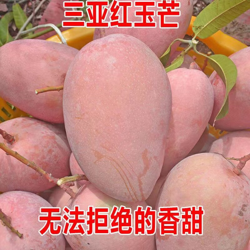 甘贤(ganxian)海南红玉文芒(顺丰速运)三亚现摘特大芒果凯特海南水果