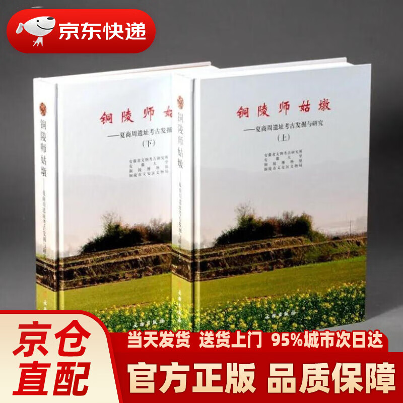 【新华正版图书】铜陵师姑墩:夏商周遗址考古发掘与研究(套装上下册)