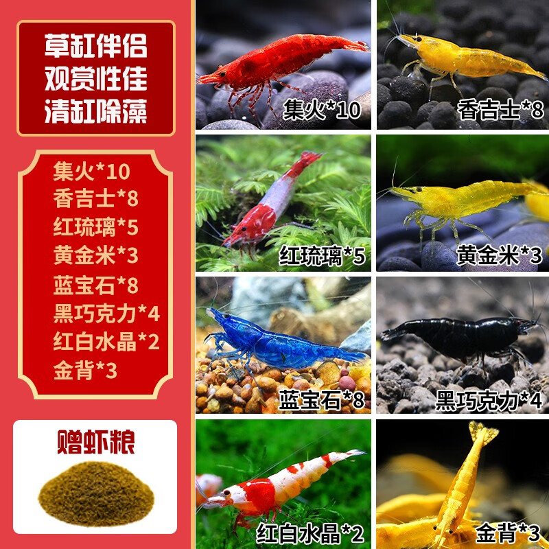 在京东怎么查水族活体历史价格|水族活体价格历史