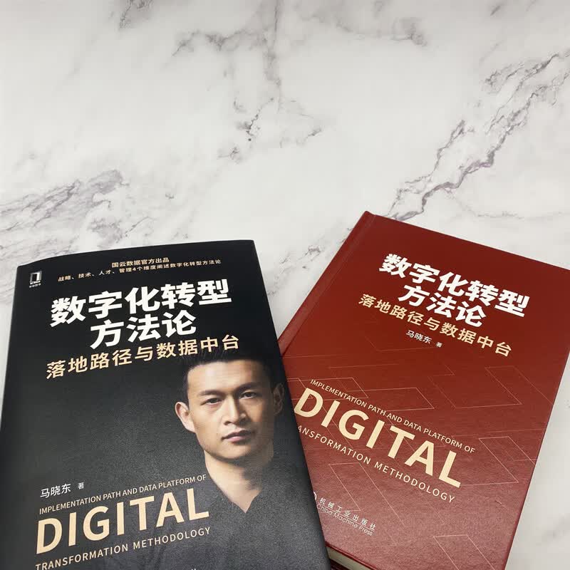 数字化转型方法论：落地路径与数据中台（国云数据官方出品）详情图