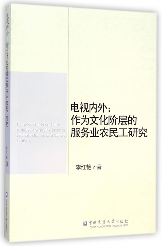 电视内外--作为文化阶层的服务业农民工研究