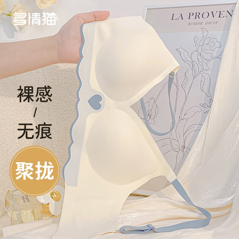 文胸能查历史价格吗|文胸价格走势图