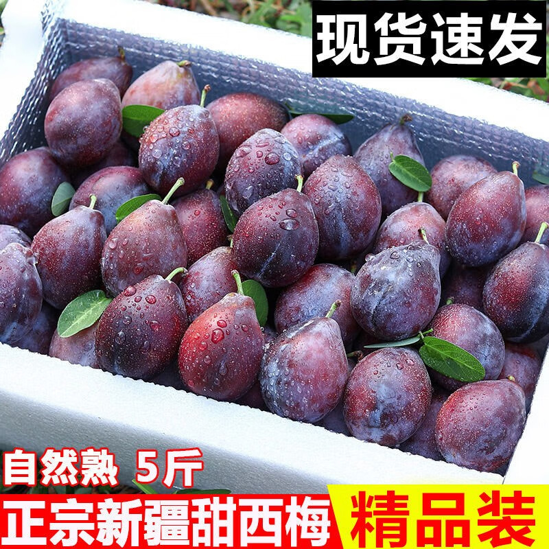 正宗新疆法兰西西梅新鲜当季时令水果礼盒喀什整箱应季孕妇甜李子 西梅5斤 精选中果