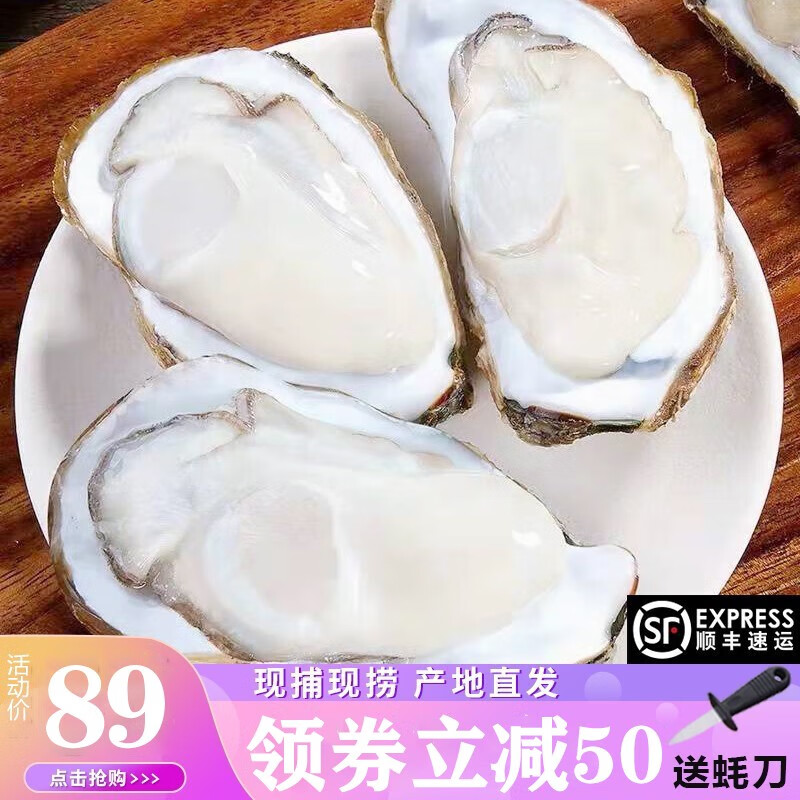 牧海翁乳山生蚝鲜活特大牡蛎生鲜贝类新鲜海蛎子带壳生蚝肉 3XL净重4.5斤约18只【赠3件套】属于什么档次？