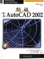精通中文AutoCAD 2002 王淇