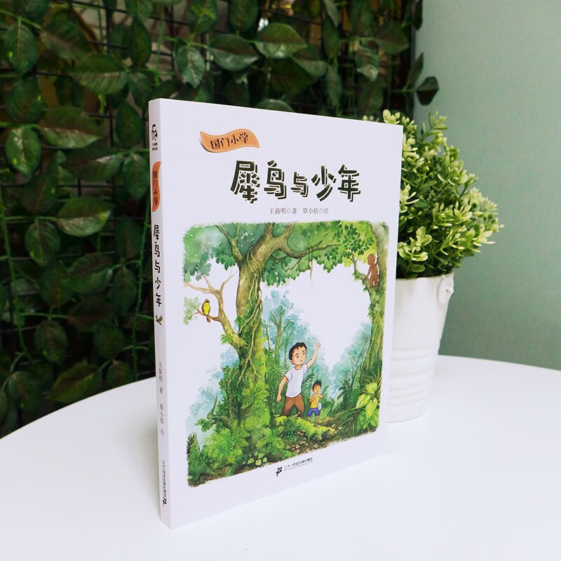 国门小学系列 全5册 佤乡等信来犀鸟与少年凤凰花下的呼唤 童眸中的彩虹童年里的木偶戏童书节儿童节 二十一世纪出版社