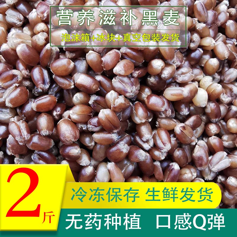 hywlkj黑麦仁米农家自产挑选杂粮鲜麦仁五谷粗粮麦子养身八宝粥原 粥