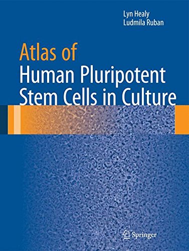 【预订】atlas of human pluripotent stem cells in