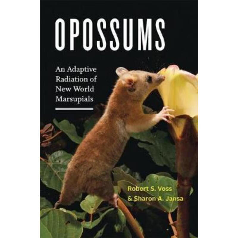 预订opossums:an adaptive radiation of new world marsupials