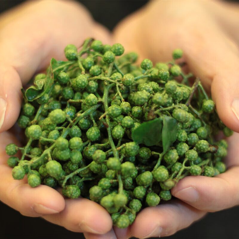 虎钢馋鲜花椒2斤 保鲜麻椒藤椒四川特产散装食用新鲜生花椒**