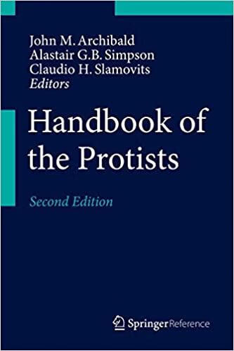 预订handbook of the protists