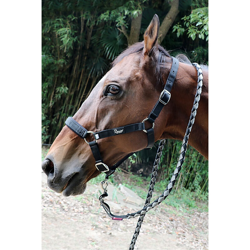 桲晟马龙头龙套缰绳舒适耐磨纺织马笼头全套牵马绳马具马术用品 红色