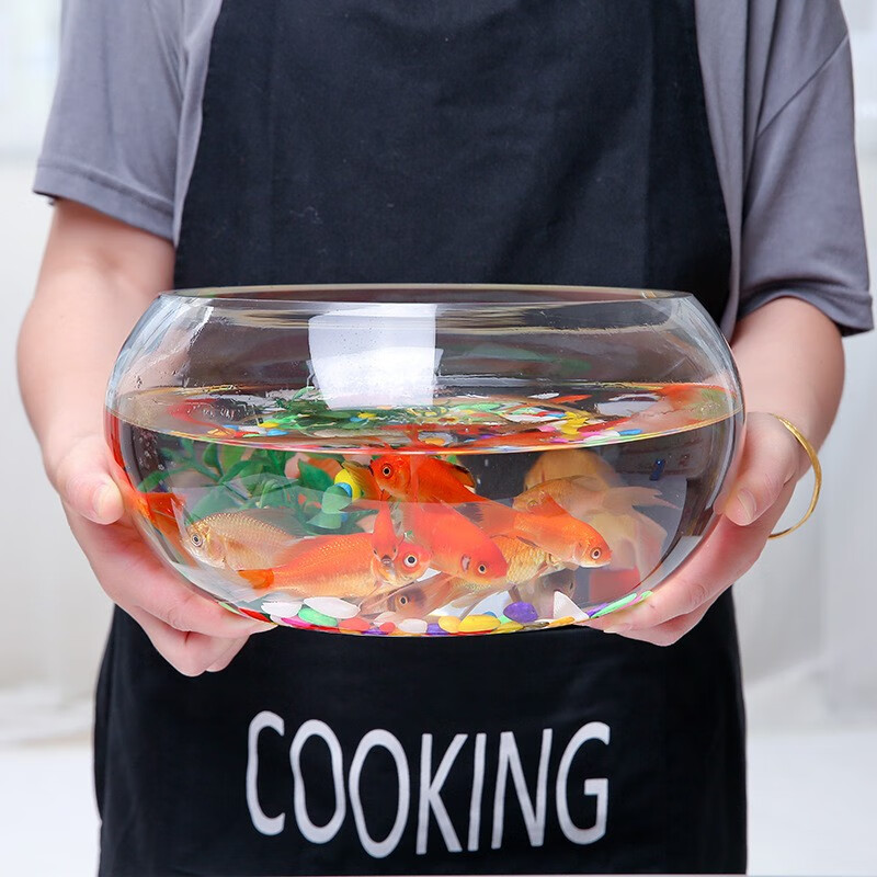 萌嘟星宠25cm玻璃鱼缸好不好优缺点实情？良心评测