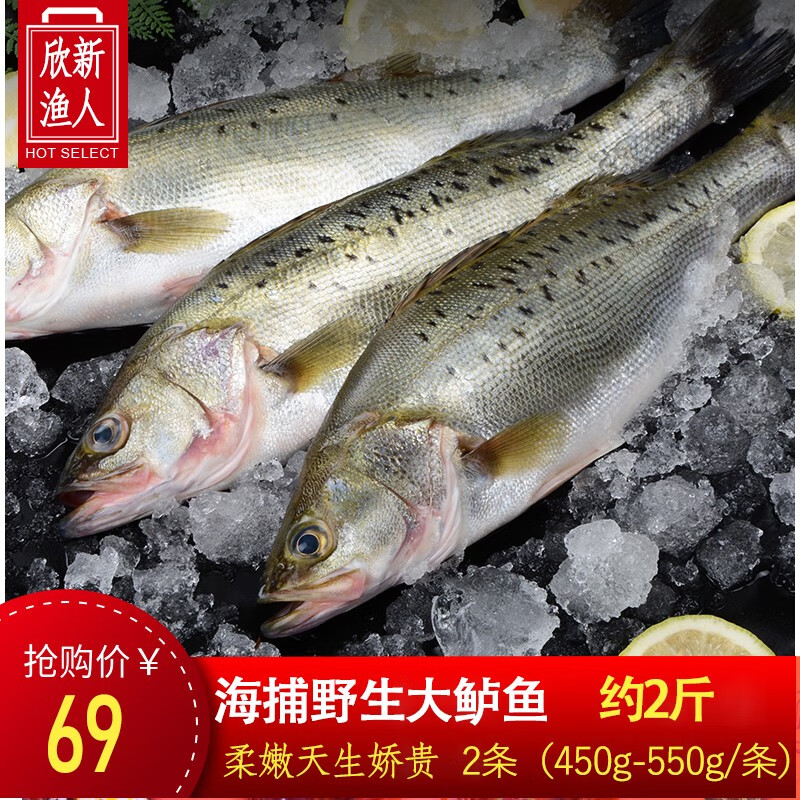 欣新渔人【4条装】海鲈鱼新鲜冷冻特大鲈鱼深海鲈鱼海鲜新鲜活冻鲈鱼
