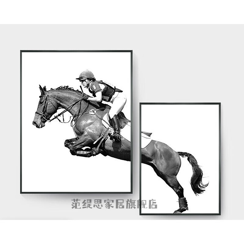 装饰画马墙画现代简约卧室黑白壁画北欧风格餐厅沙发挂画 a-纵马驰骋