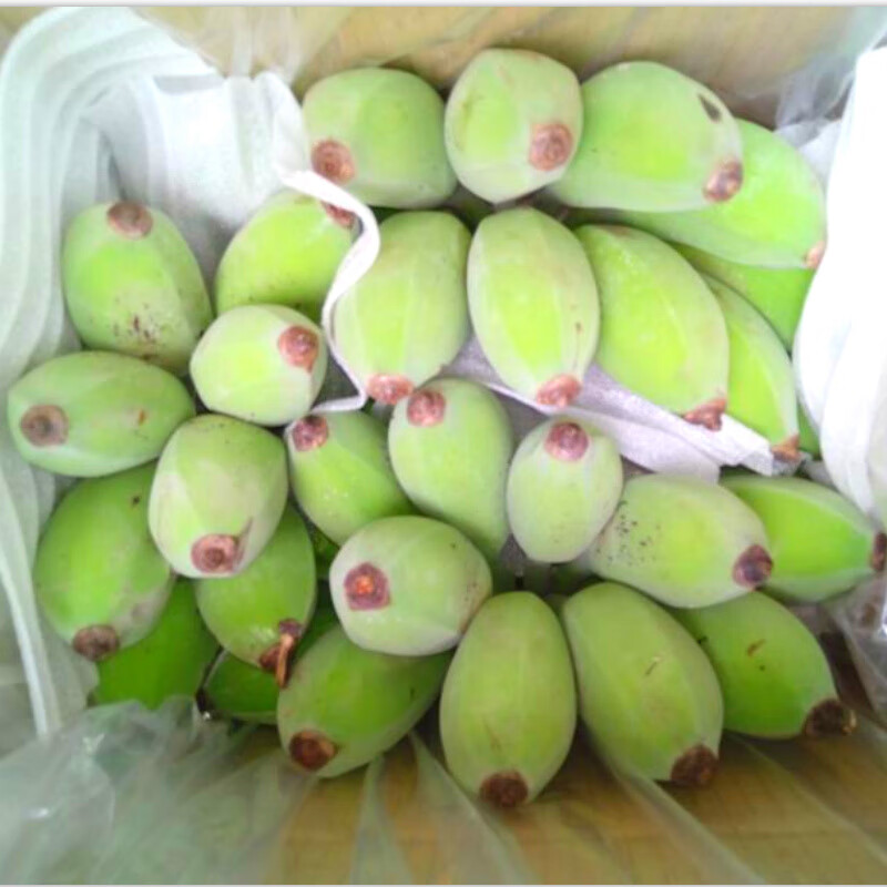 广西香蕉苹果蕉小米蕉圆香蕉粉米蕉新鲜水果10斤整箱