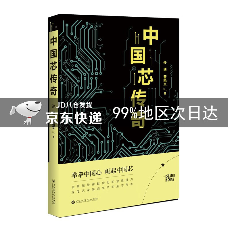 中国芯传奇