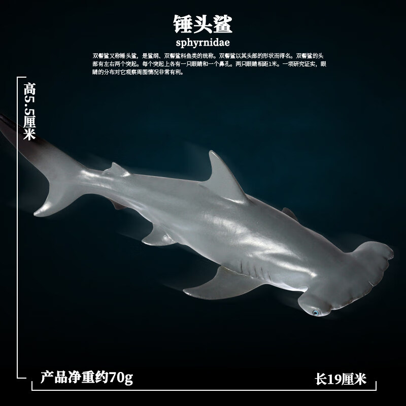 动物模型玩具巨齿鲨虎鲨虎鲸鲨鱼塑胶儿童科教摆件 锤头鲨(双鬓鲨)