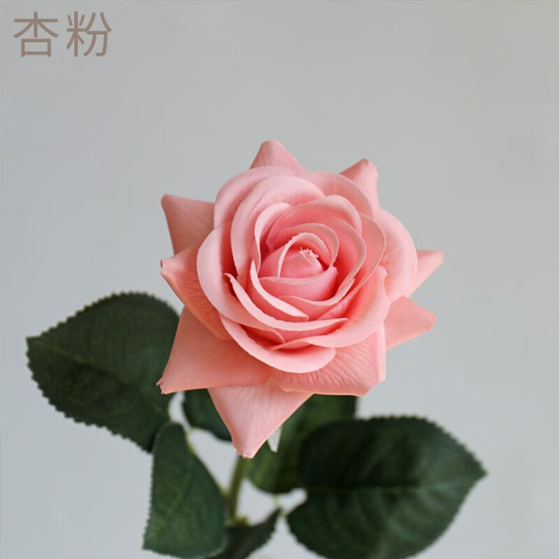 查看源网页
