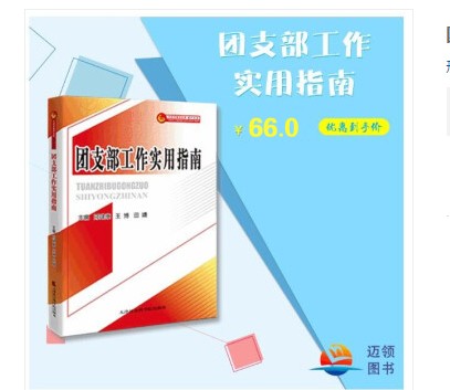 团支部工作实用指南