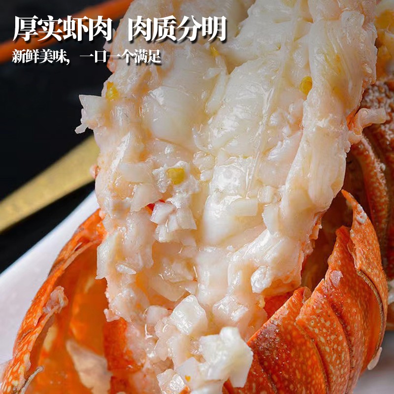 海鲜煌龙虾青龙虾大龙虾波士顿花龙虾海鲜鲜活冷冻大虾 400-500g 1只袋装生鲜水产送礼佳品青龙虾500-600g/只主图6