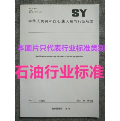 现货SY/T 5453-2019 地震勘探数据SEG-Y格式 中国建筑工业出版社