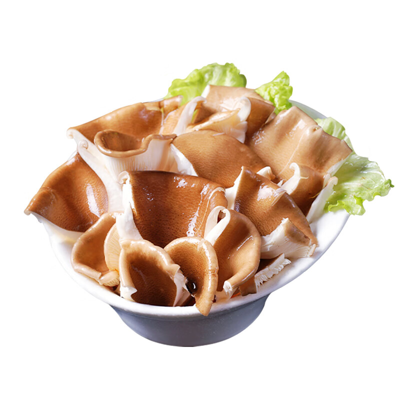 百年云松【2026新鲜猪肚菌】香格里拉鲜菌菇 猪肚菇 大伞菇 新鲜速达 新鲜猪肚菌 800克
